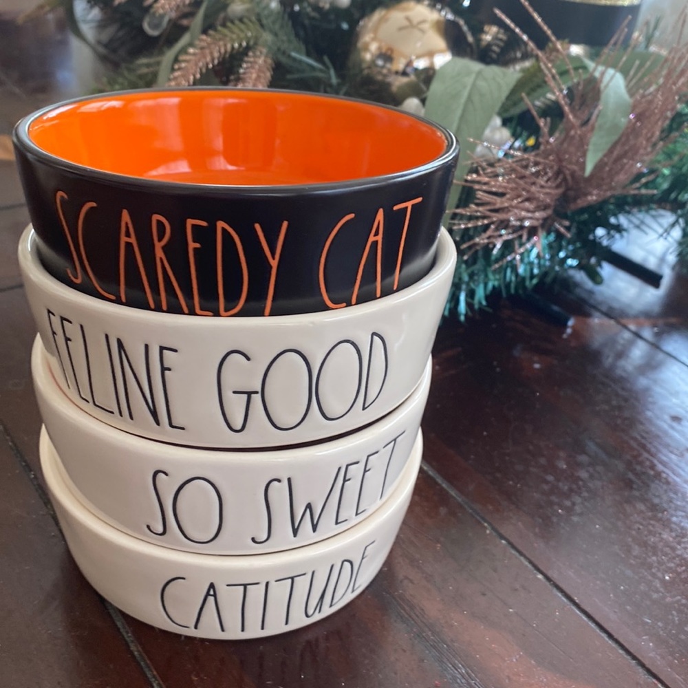 Rae Dunn set of 4 cat bowls